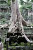 Angkor-Wat-43.jpg