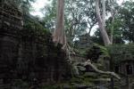 Angkor-Wat-116.jpg