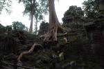 Angkor-Wat-120.jpg