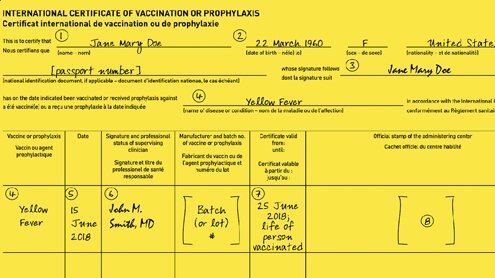 yellow-fever-vaccination-card-sample.jpg.830de5b72bf4da5da365d79c059a33f0.jpg