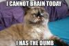 post-100001-0-81981700-1426604870_thumb.