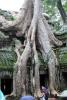 Angkor-Wat-62.jpg