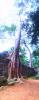 post-16149-0-22855700-1475641305_thumb.jpg