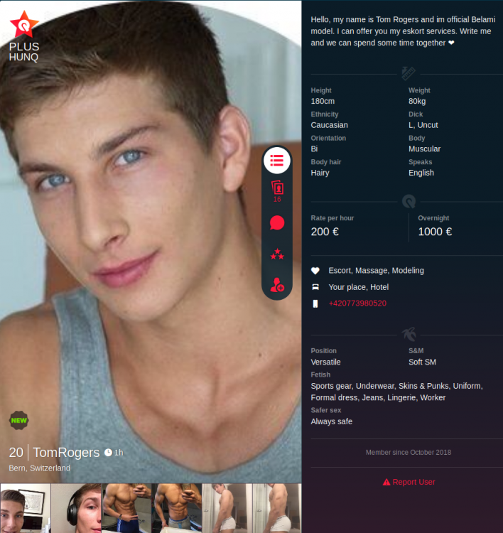 Screenshot_2018-10-27 ROMEO Gay chat and dating.png