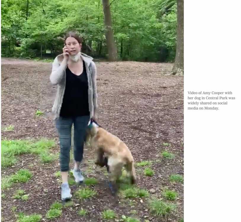 amy.thumb.png.4068564340a7816fe10b33d94ae73cd1.png