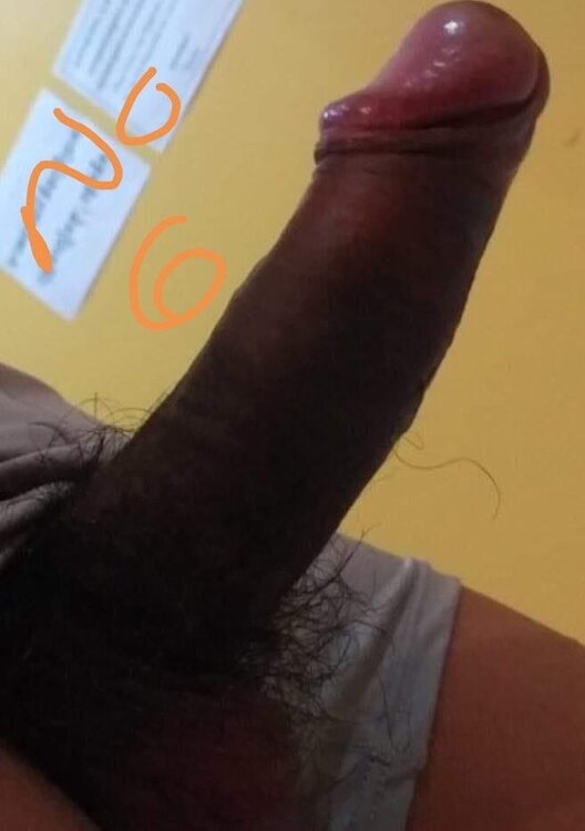 1053166793_No_06_02.thumb.jpg.6831ff75822adb641772212d28c671e7.jpg