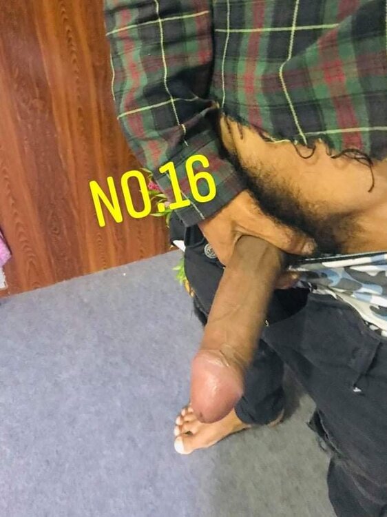 1544524526_No_16_02.thumb.jpg.bbcbdc25d54872fecd24786808a19385.jpg