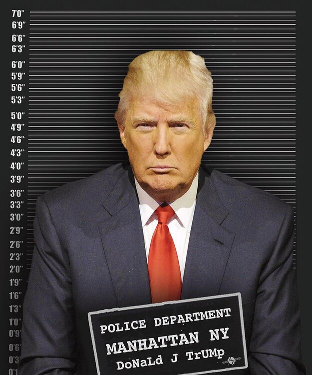Trump Mug Shot.jpg