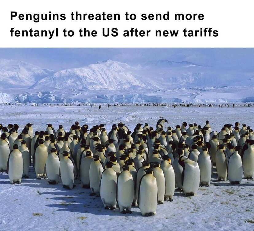 Gnoyet5WUAEHxw9.jpg