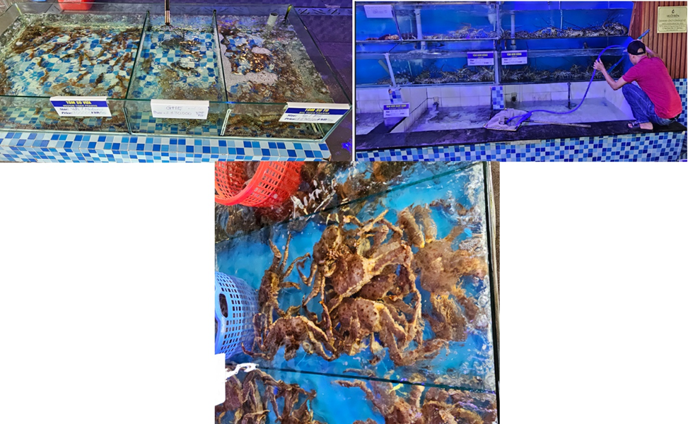 image.png.0017a6f361b3520cb0852fb2ecf2884d.png