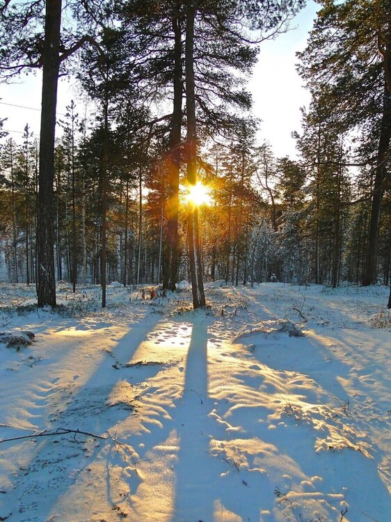 Scandinavia_mr47.thumb.jpg.0834db255d8ed4c2bc1c6c7b5a2e7534.jpg