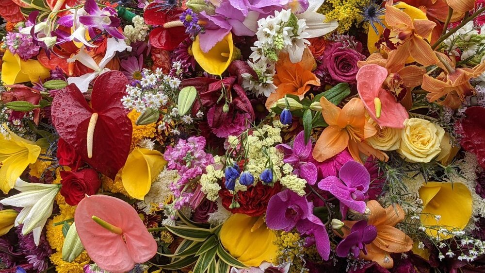full screen flowers.jpg