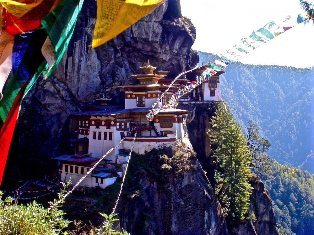 Bhutan_Tigers_Nest2.thumb.jpg.d62c5ce6f552171ceb46663dd1f0fd7e.jpg