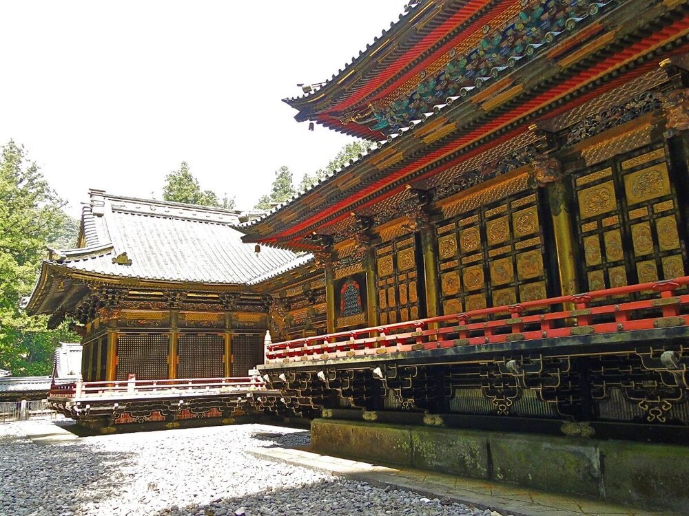 Nikko_lr16.thumb.jpg.942ef269c82b58ee88d3b1c664c86d3f.jpg
