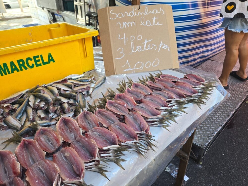 Rio de Janeiro - 2025 - Feira da Glória 2.jpg