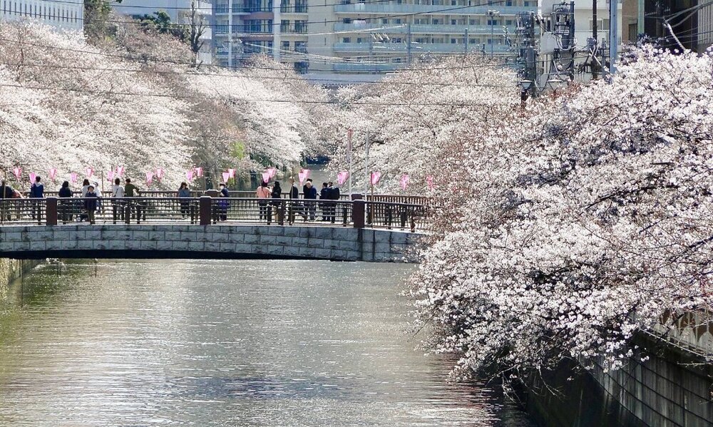 Tokyo_2019_mr44.thumb.jpg.ba1b270955395e6c784ecd80052d0c75.jpg