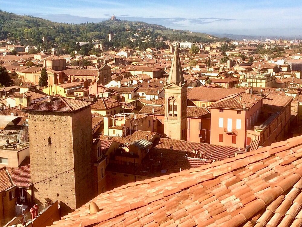 Bologna_2019_01.thumb.jpg.8a8f48b88784373e0fd764df8ea56e6c.jpg