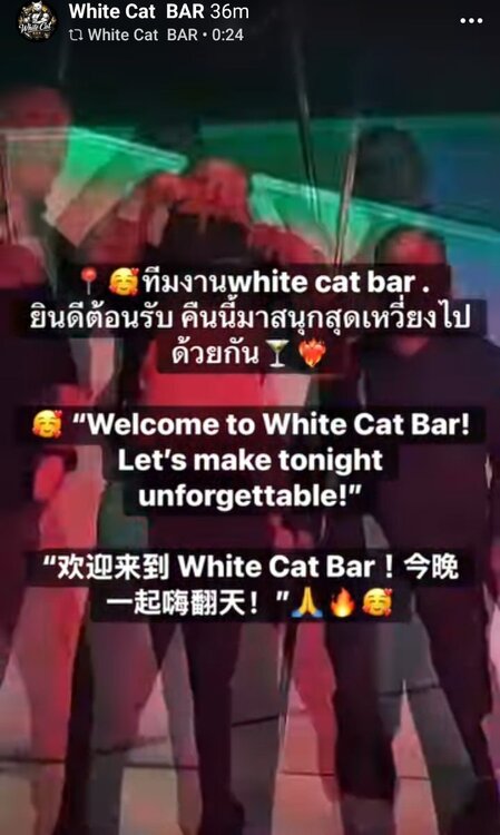whitecatbar2.jpg