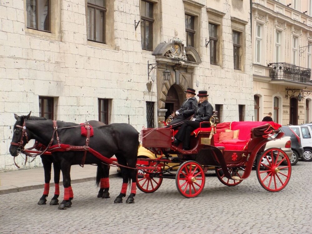 Krakow2.thumb.jpg.740a48fccb270079b1efc3b9b3c8edbe.jpg