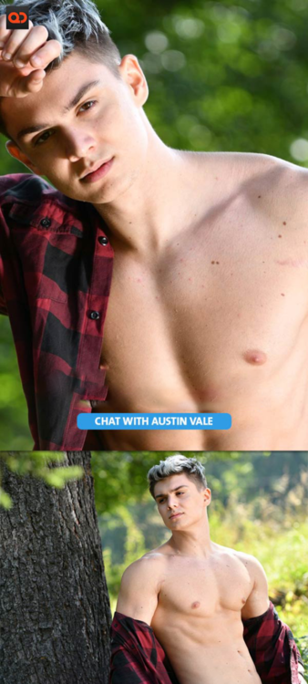 Austin Vale428.png